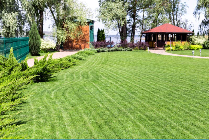 services.mowing